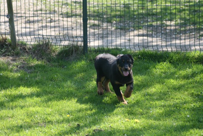 Quenza 09 04 2017 (19)